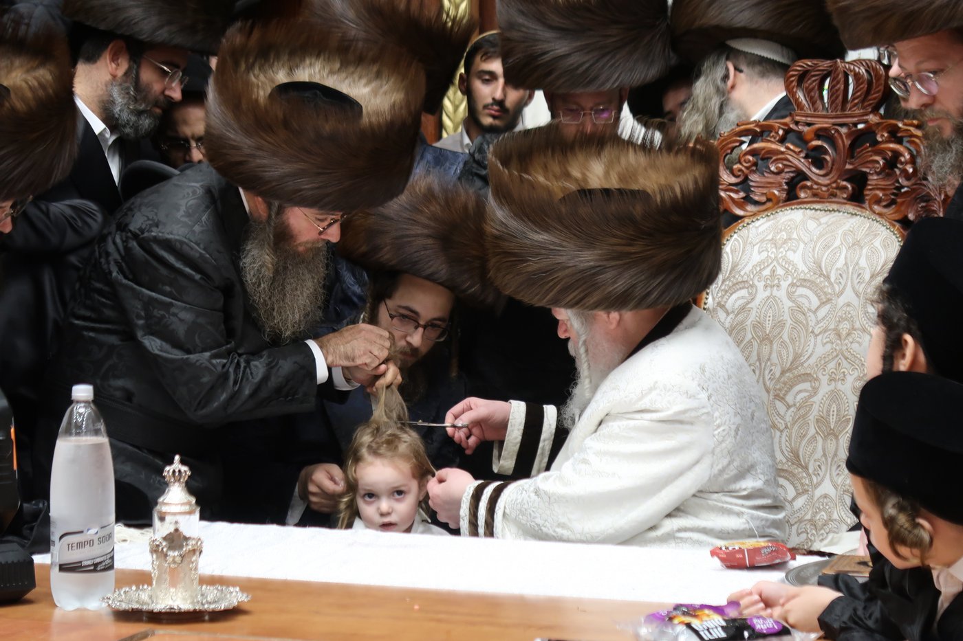 שמחת החלאקה לנכד האדמו"ר מפרמישלאן שליט"א | צילום: י. פריד