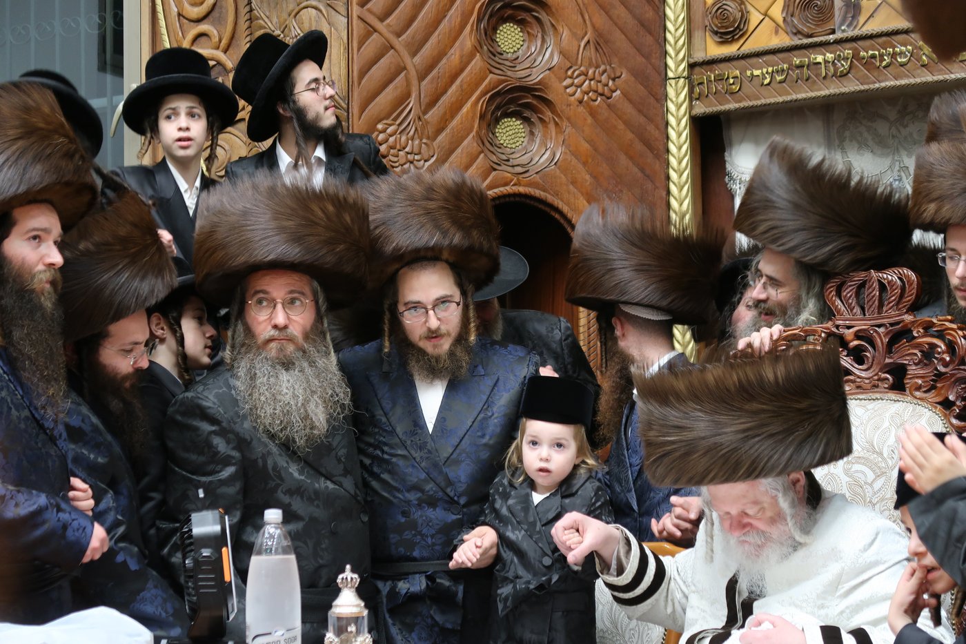 שמחת החלאקה לנכד האדמו"ר מפרמישלאן שליט"א | צילום: י. פריד
