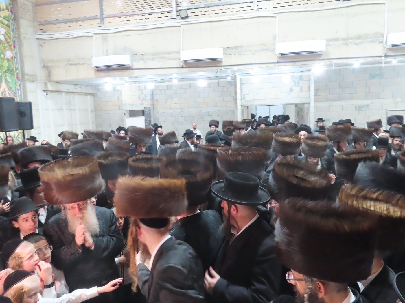 הכנסת ספר תורה בבית שמש | צילום: י. פריד