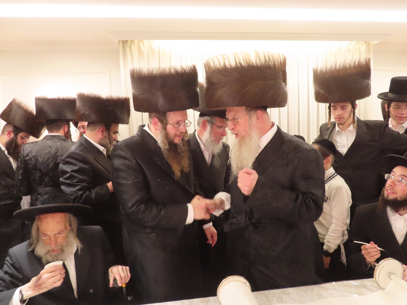 הכנסת ספר תורה בבית שמש | צילום: י. פריד