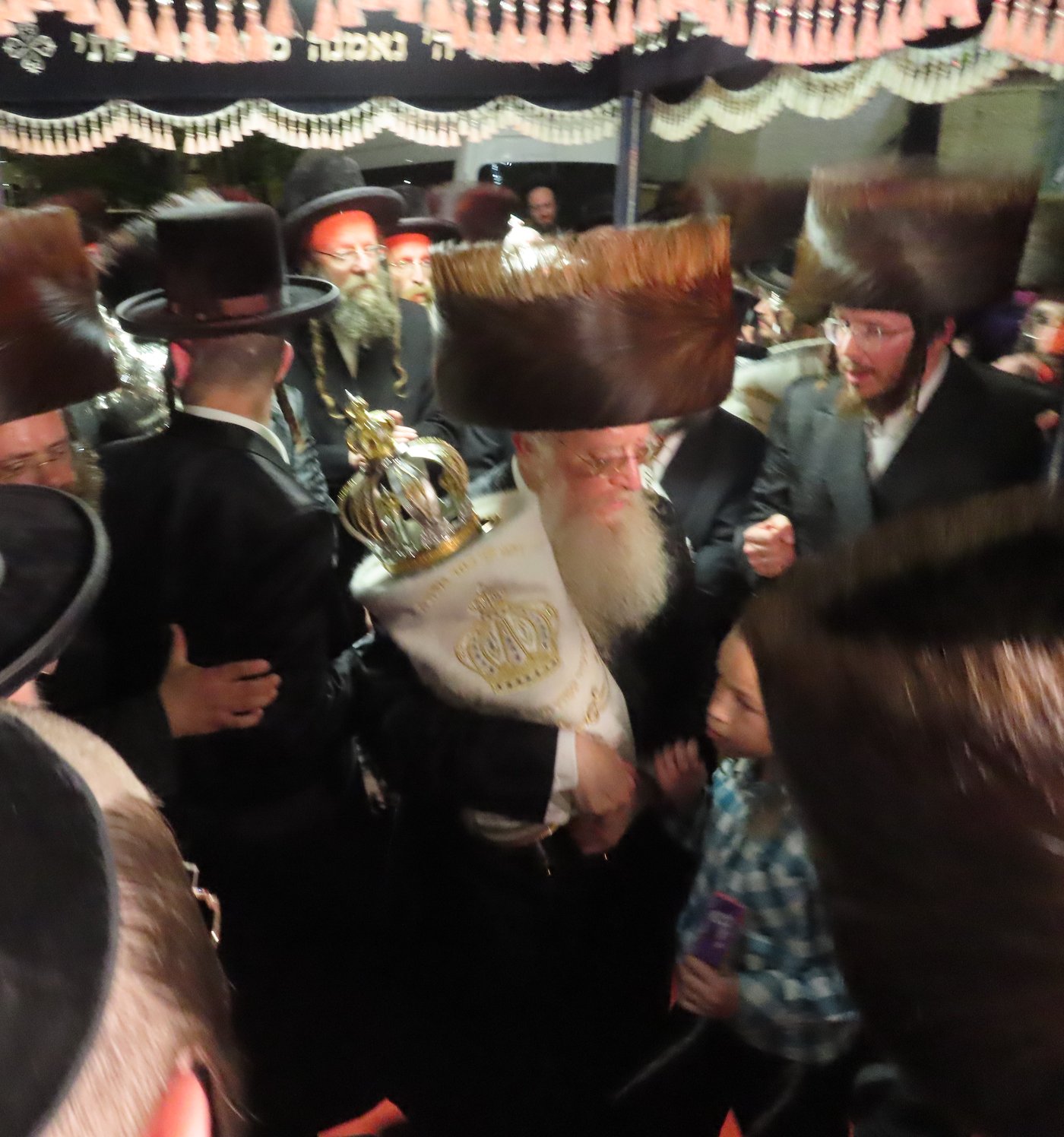 הכנסת ספר תורה בבית שמש | צילום: י. פריד
