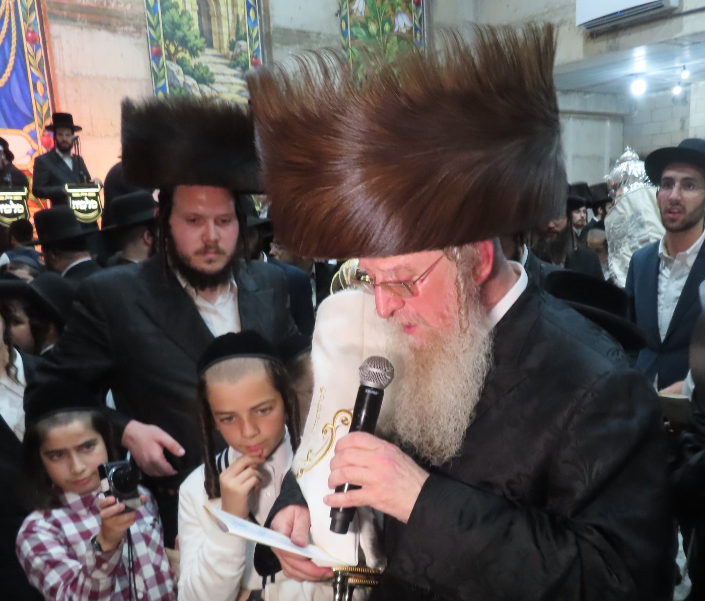 הכנסת ספר תורה בבית שמש | צילום: י. פריד
