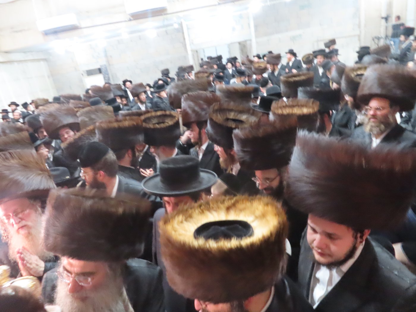 הכנסת ספר תורה בבית שמש | צילום: י. פריד