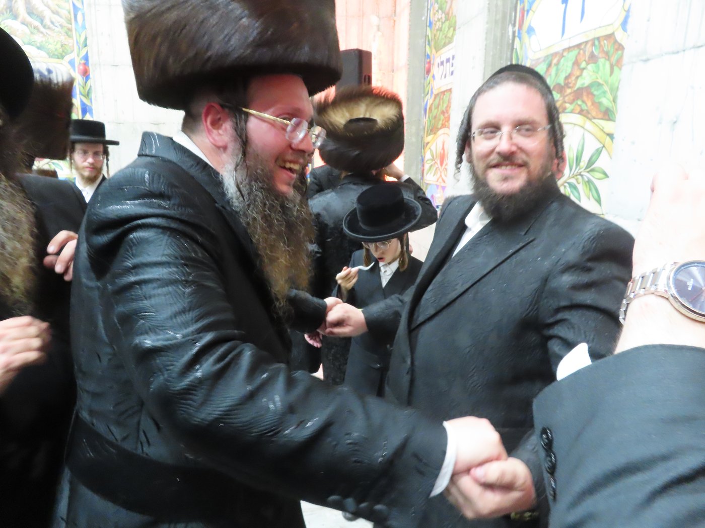 הכנסת ספר תורה בבית שמש | צילום: י. פריד