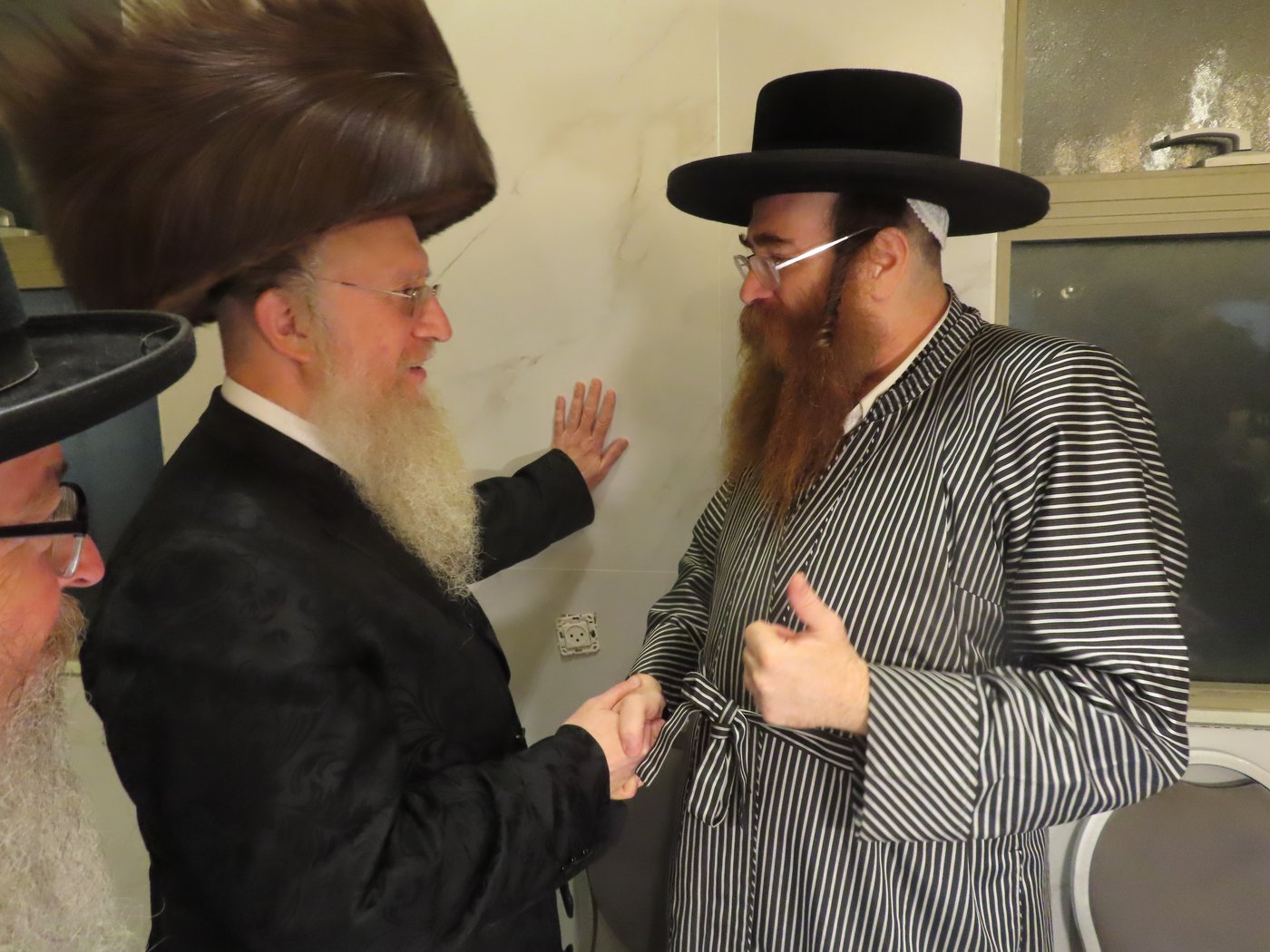 הכנסת ספר תורה בבית שמש | צילום: י. פריד