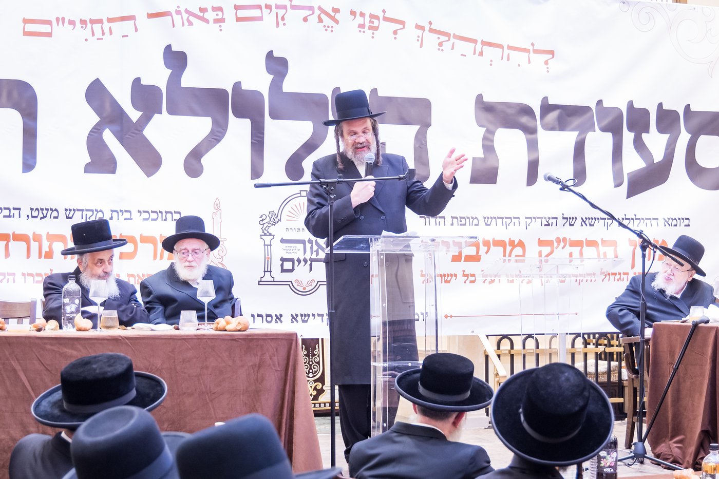 הילולת הרה"ק מריבניץ זי"ע | צילום: אחים לאנטשעווסקי