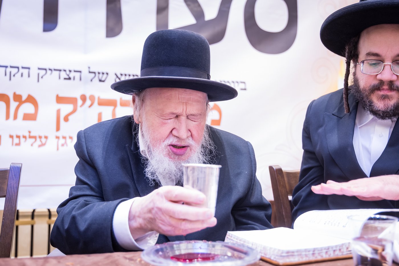 הילולת הרה"ק מריבניץ זי"ע | צילום: אחים לאנטשעווסקי