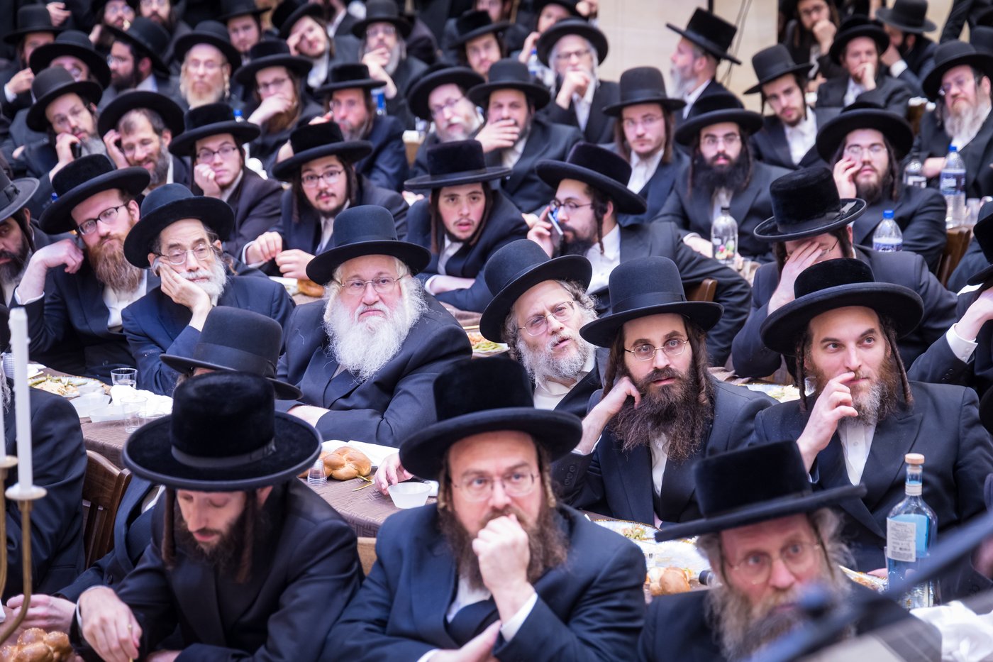 הילולת הרה"ק מריבניץ זי"ע | צילום: אחים לאנטשעווסקי