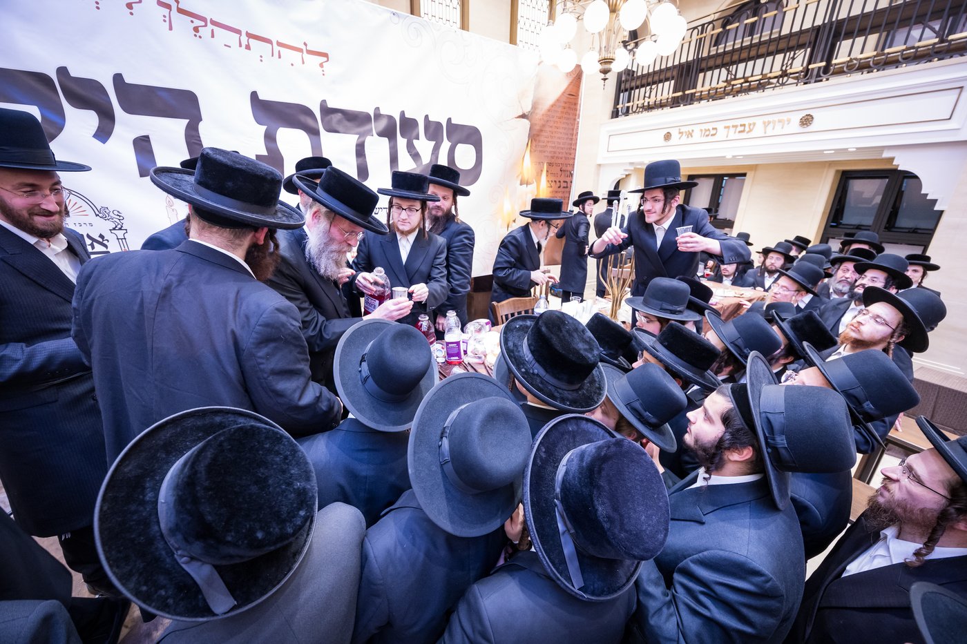 הילולת הרה"ק מריבניץ זי"ע | צילום: אחים לאנטשעווסקי
