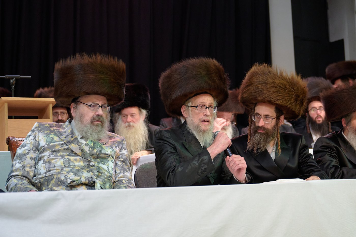 פדיון פטר חמור בלונדון | צילום: דודי בראון