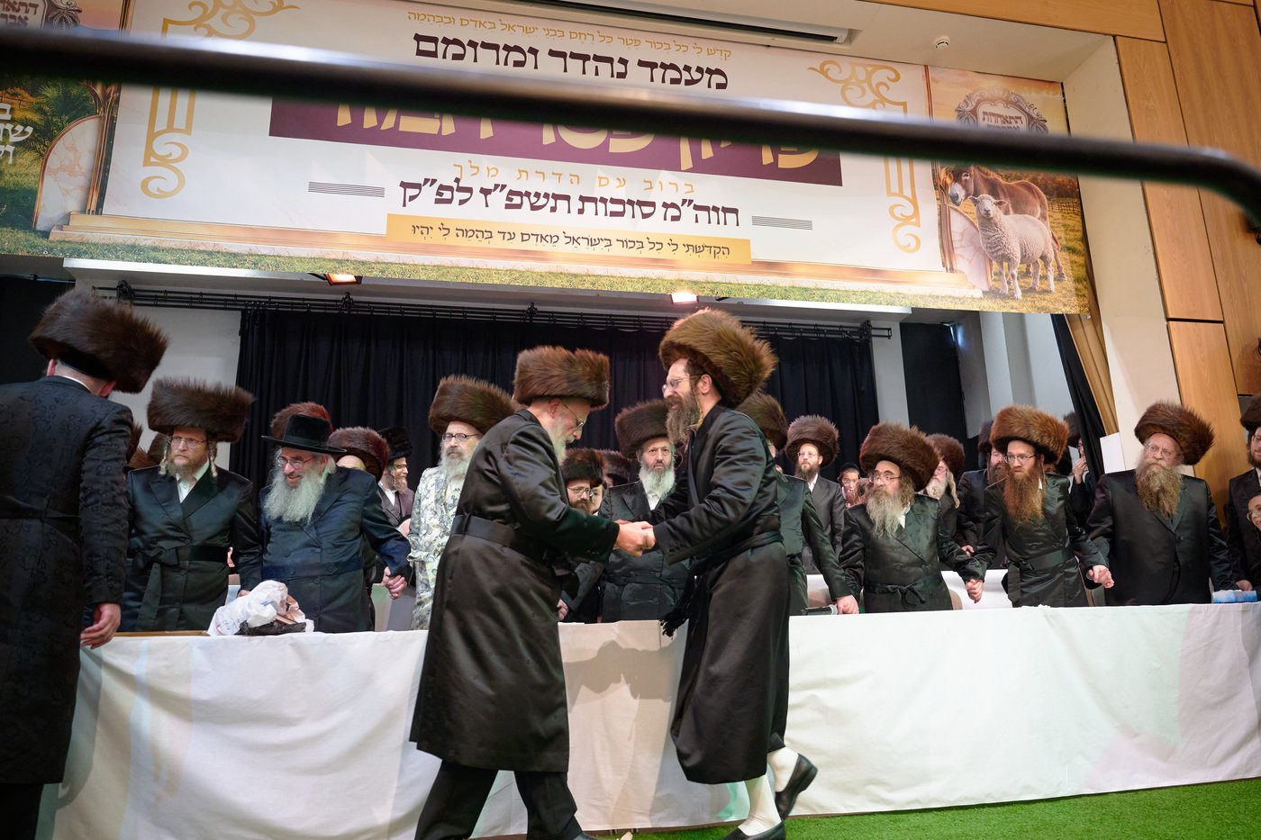 פדיון פטר חמור בלונדון | צילום: דודי בראון