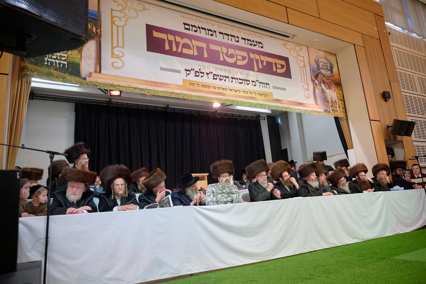 פדיון פטר חמור בלונדון | צילום: דודי בראון