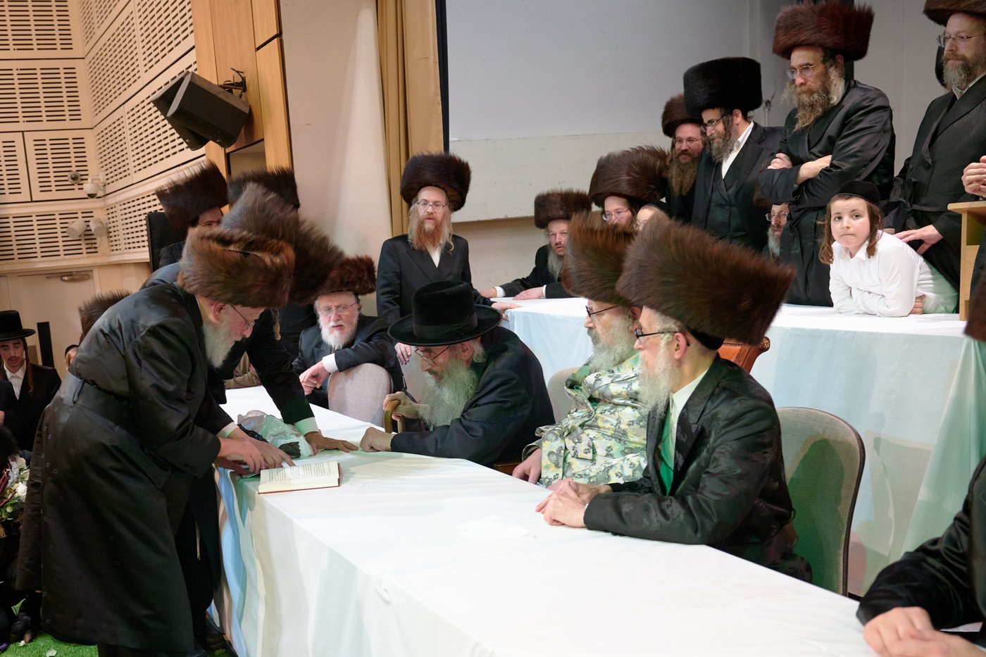 פדיון פטר חמור בלונדון | צילום: דודי בראון