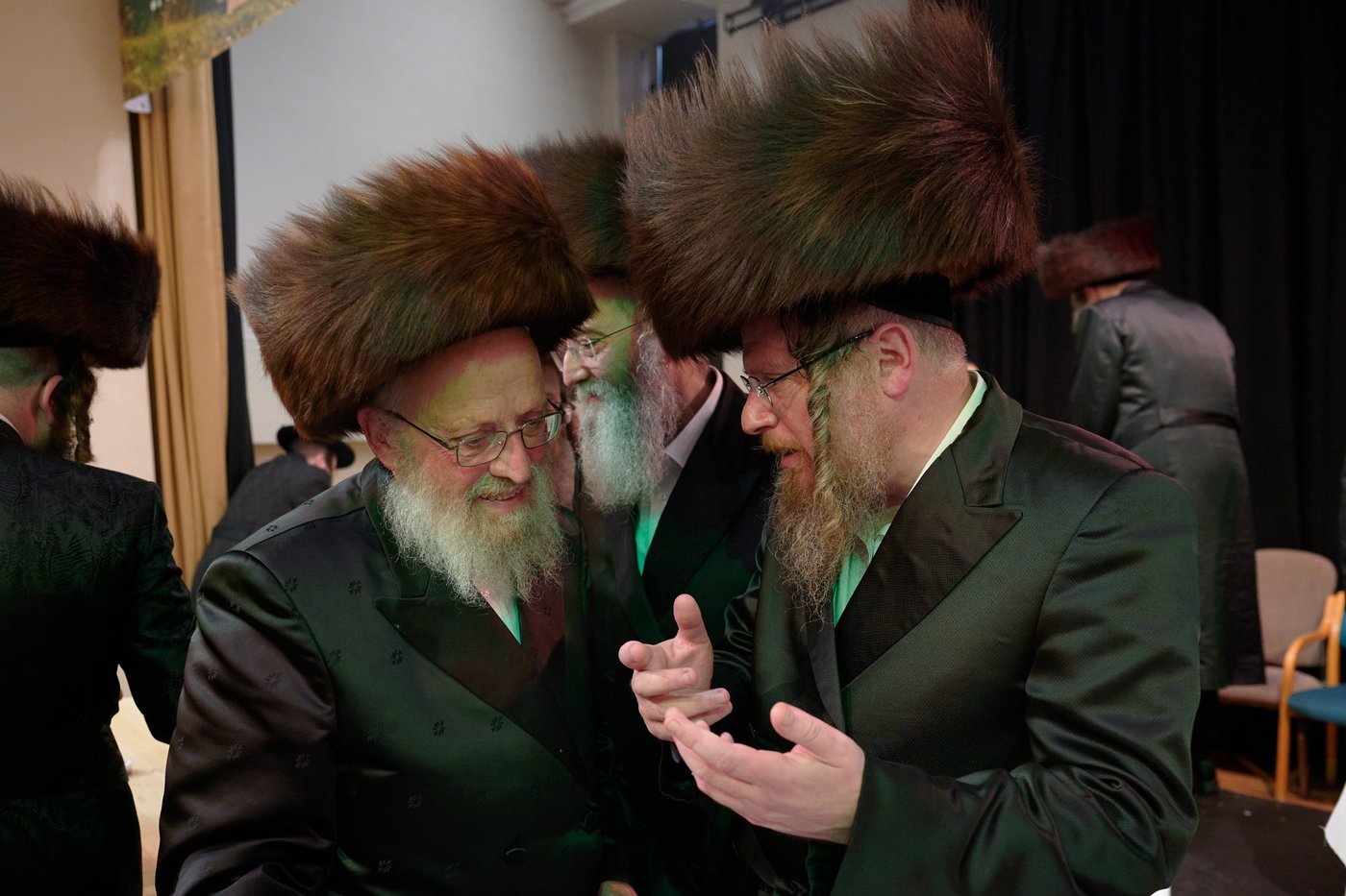 פדיון פטר חמור בלונדון | צילום: דודי בראון