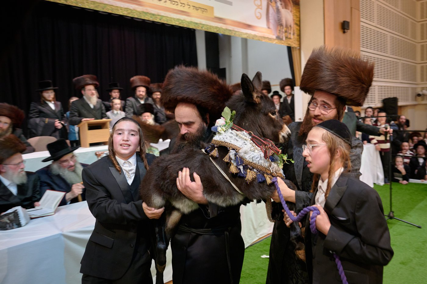 פדיון פטר חמור בלונדון | צילום: דודי בראון