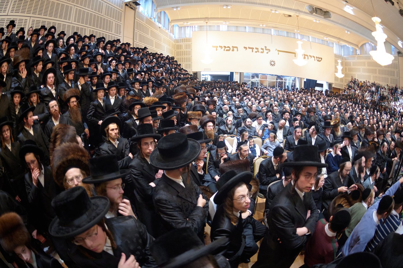 פדיון פטר חמור בלונדון | צילום: דודי בראון