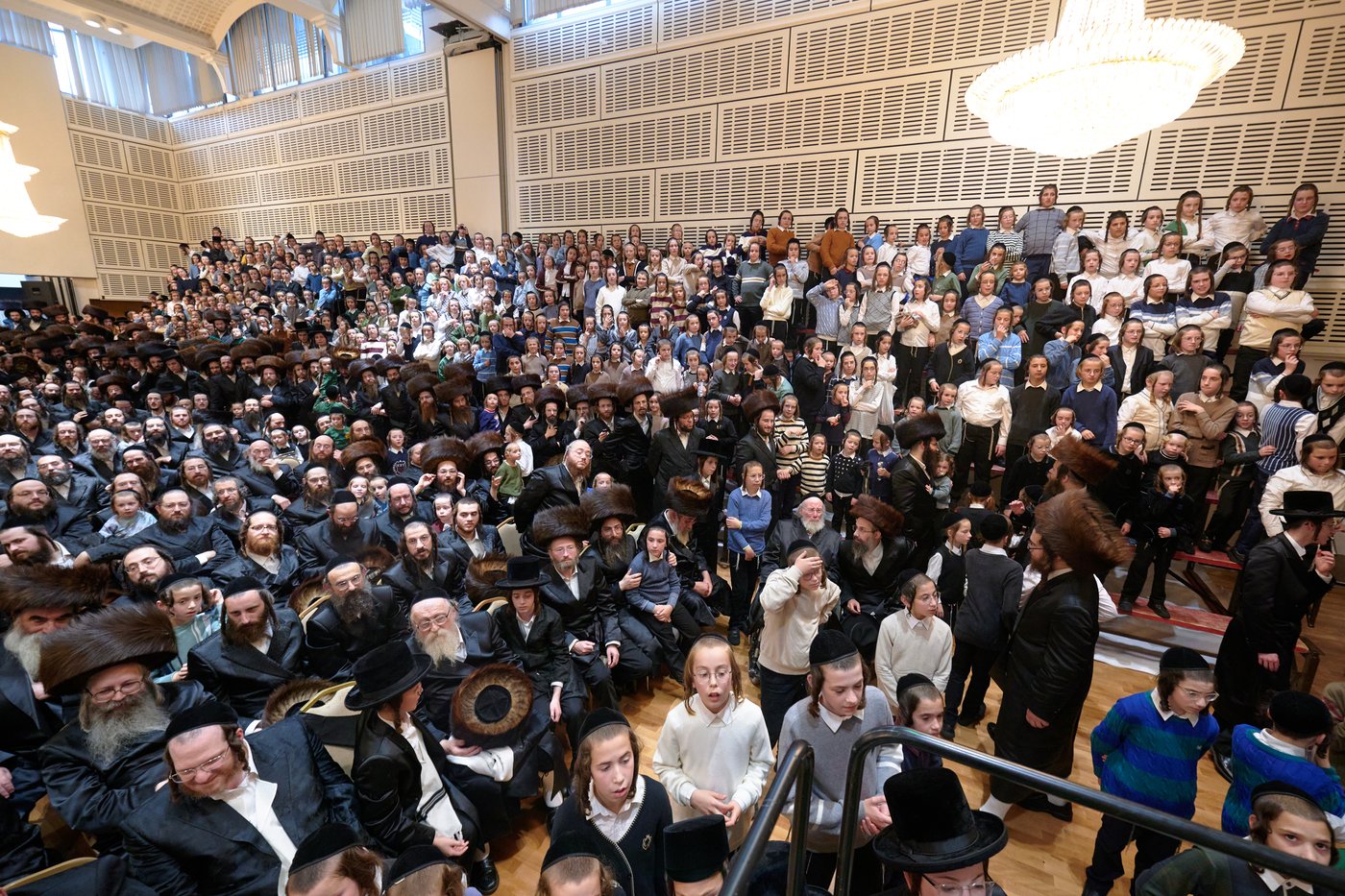פדיון פטר חמור בלונדון | צילום: דודי בראון