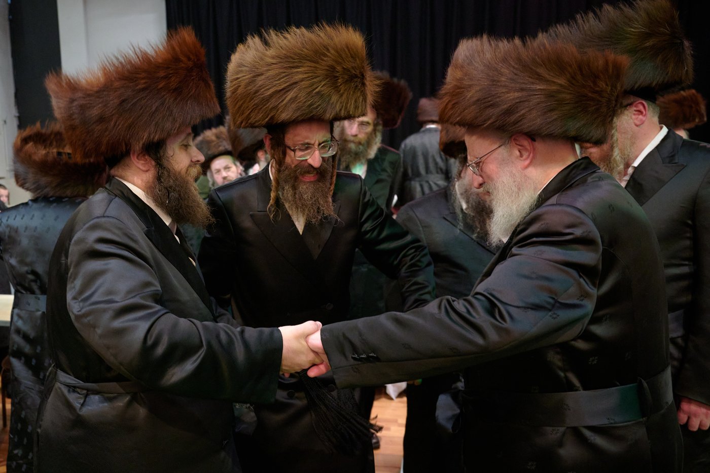 פדיון פטר חמור בלונדון | צילום: דודי בראון