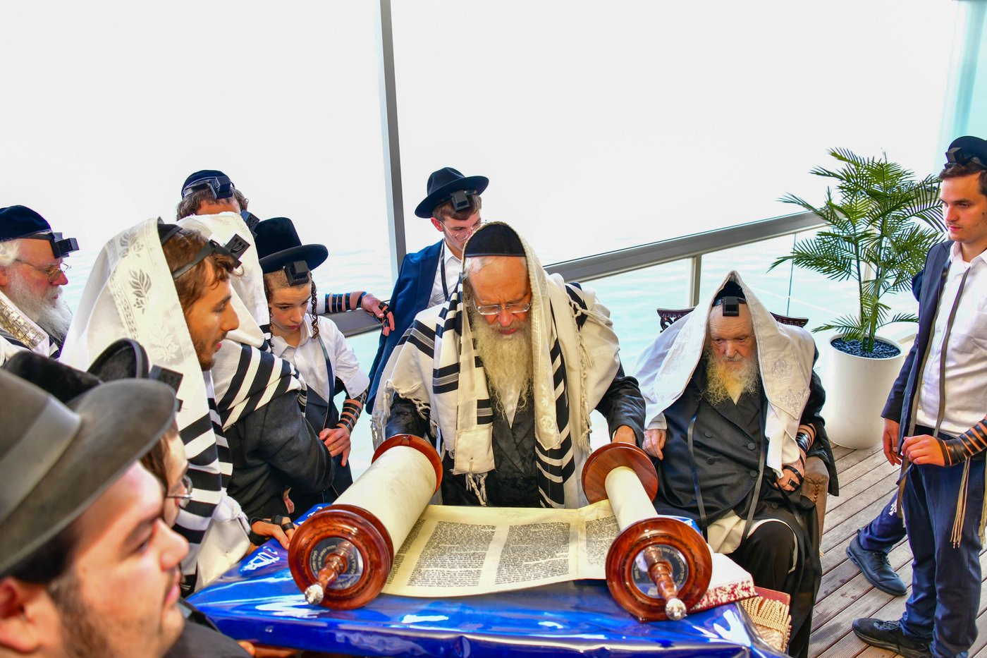 הגאון רבי משה שטרנבוך שליט"א בתפילת שחרית בנתניה | צילום: שוקי לרר