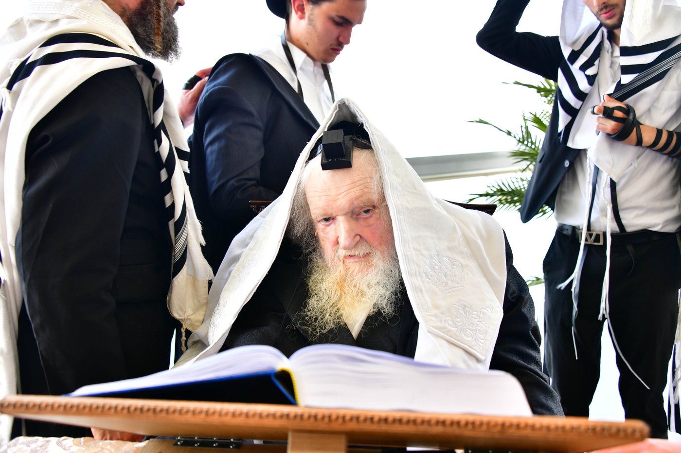 הגאון רבי משה שטרנבוך שליט"א בתפילת שחרית בנתניה | צילום: שוקי לרר
