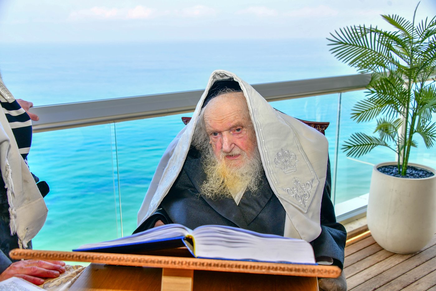 הגאון רבי משה שטרנבוך שליט"א בתפילת שחרית בנתניה | צילום: שוקי לרר