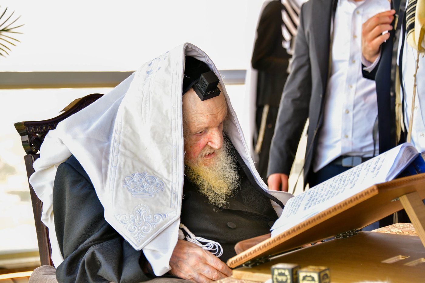 הגאון רבי משה שטרנבוך שליט"א בתפילת שחרית בנתניה | צילום: שוקי לרר