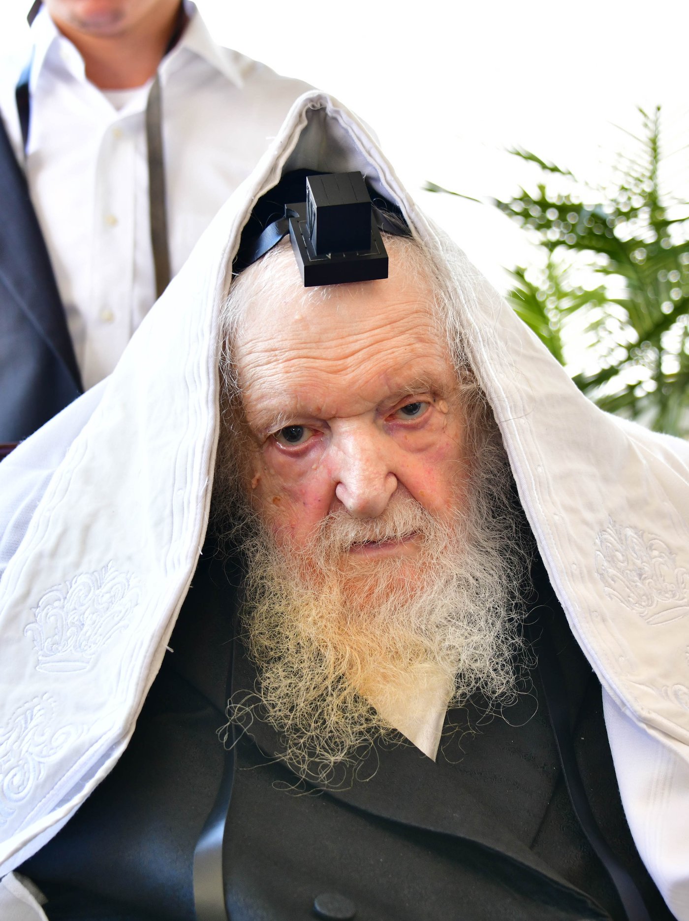 הגאון רבי משה שטרנבוך שליט"א בתפילת שחרית בנתניה | צילום: שוקי לרר