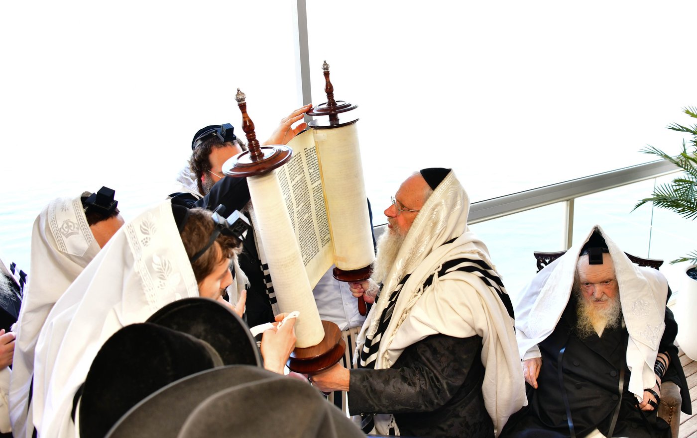 הגאון רבי משה שטרנבוך שליט"א בתפילת שחרית בנתניה | צילום: שוקי לרר