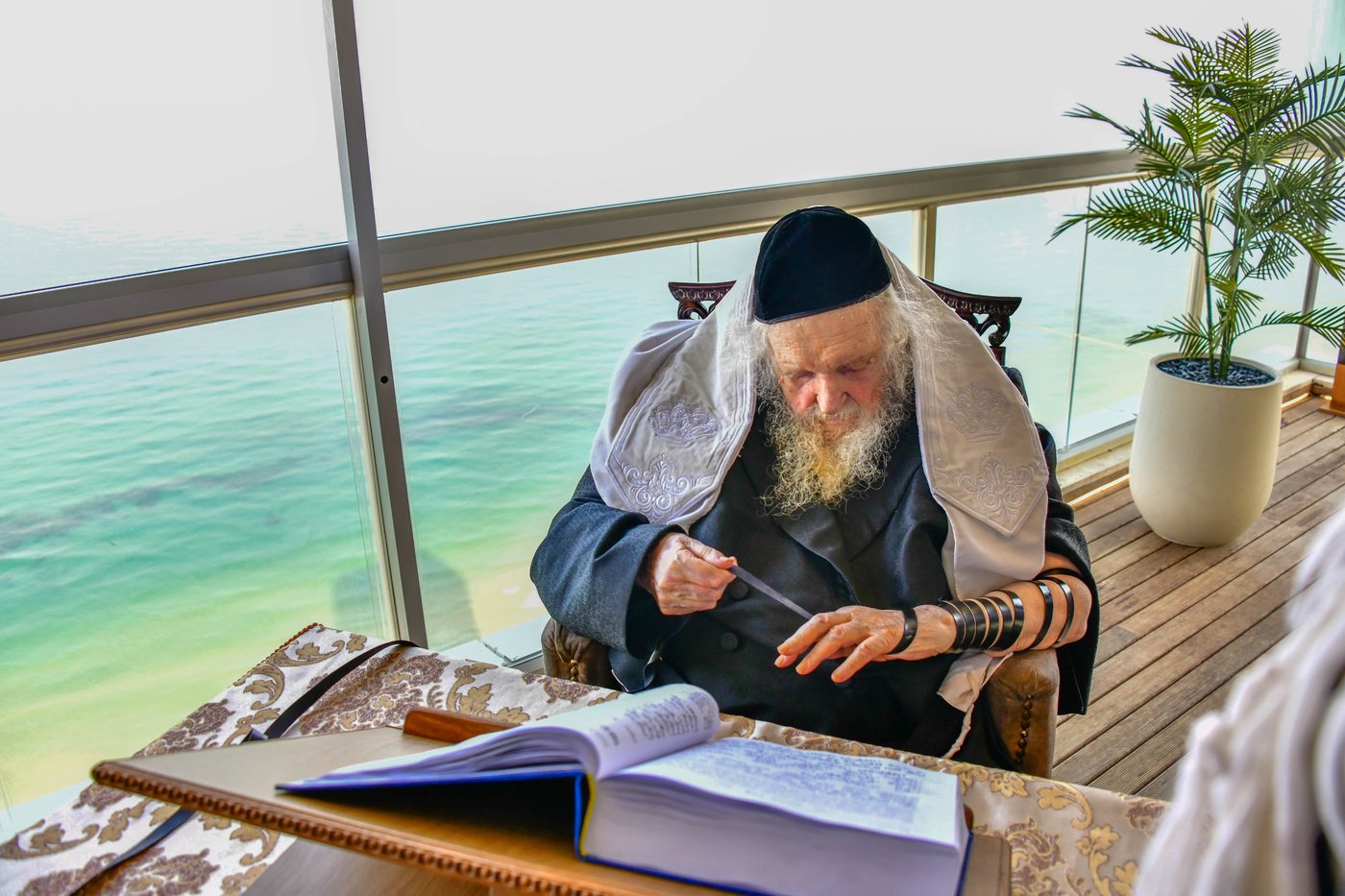 הגאון רבי משה שטרנבוך שליט"א בתפילת שחרית בנתניה | צילום: שוקי לרר