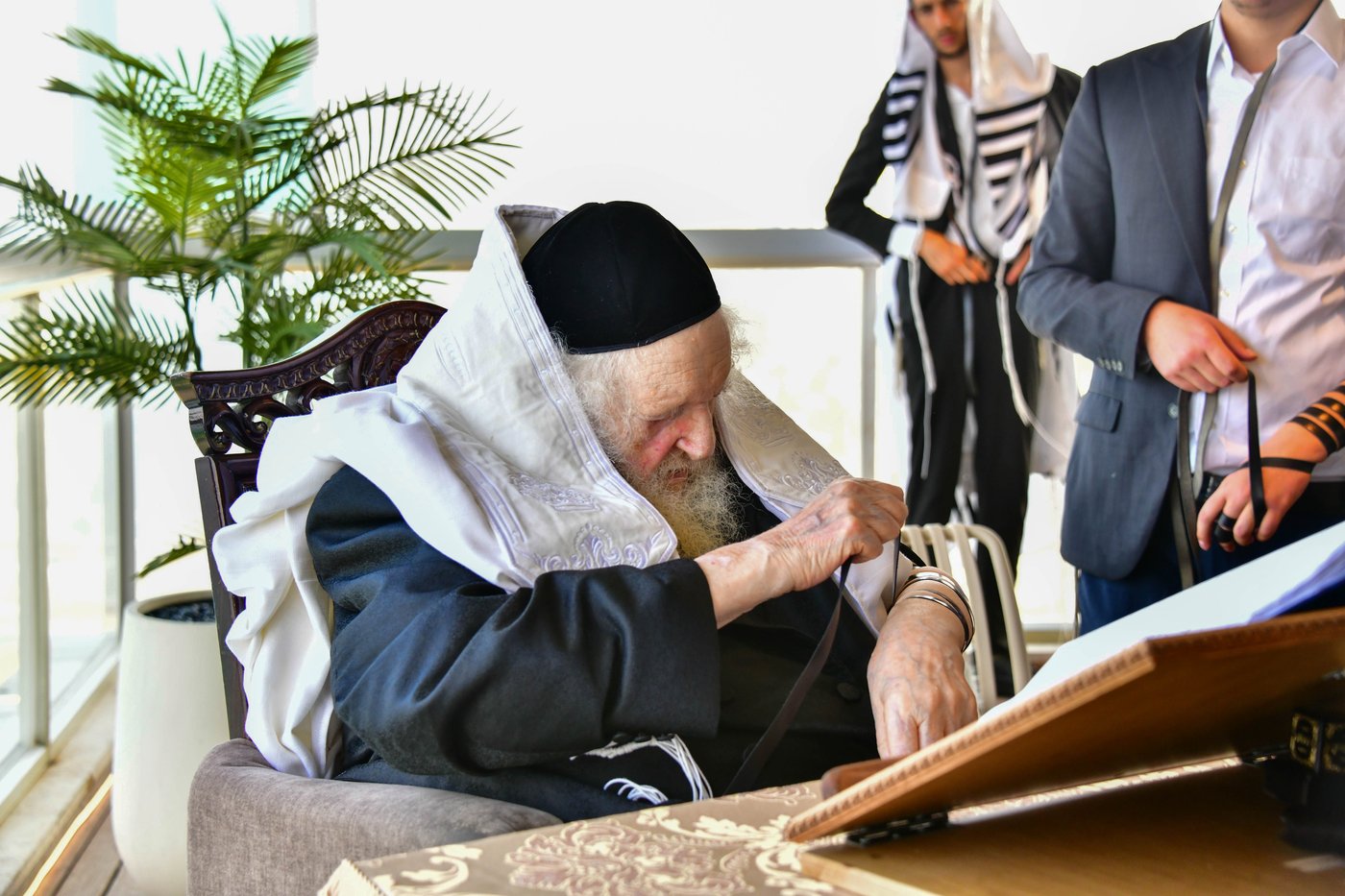 הגאון רבי משה שטרנבוך שליט"א בתפילת שחרית בנתניה | צילום: שוקי לרר