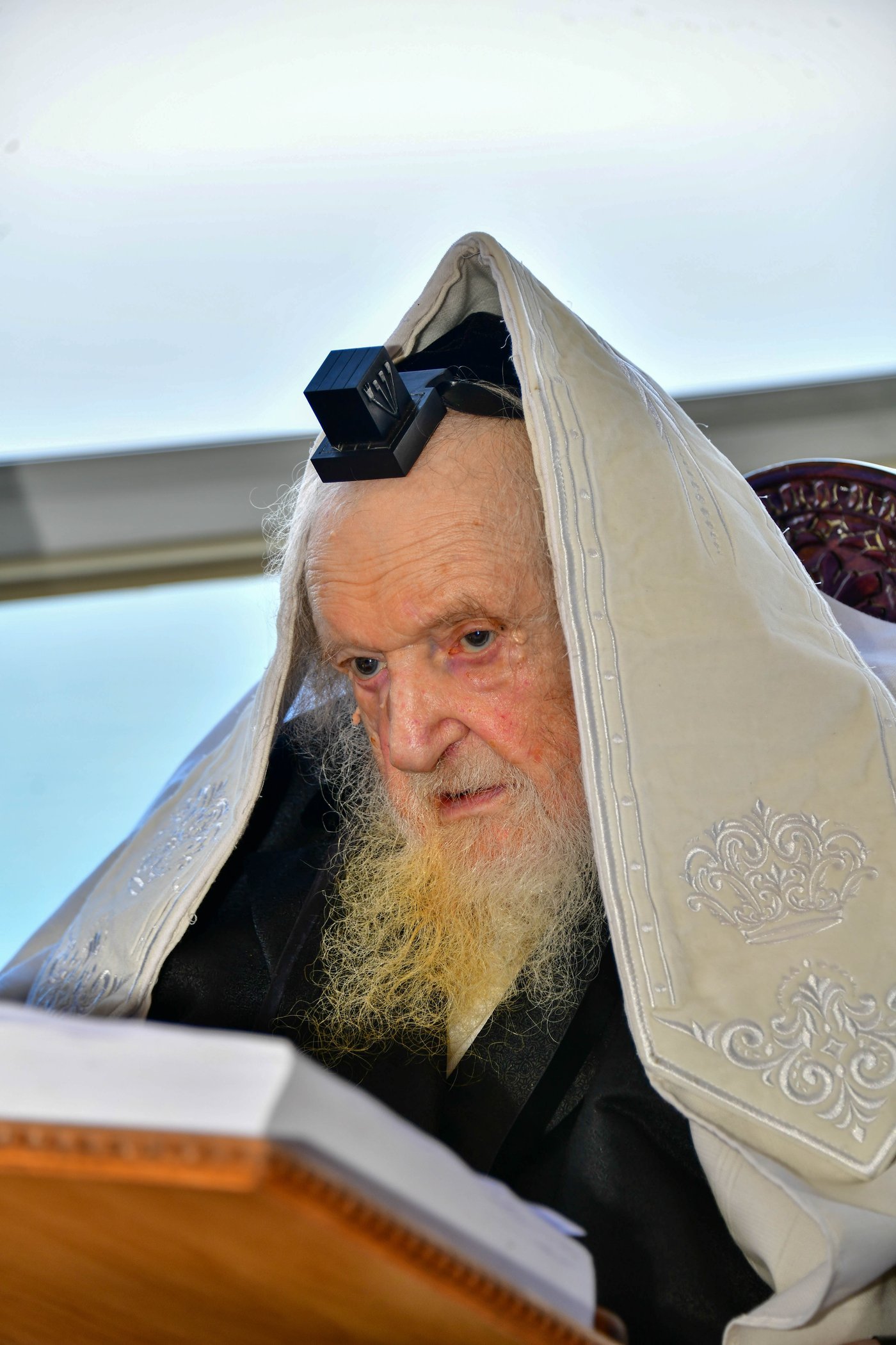 הגאון רבי משה שטרנבוך שליט"א בתפילת שחרית בנתניה | צילום: שוקי לרר