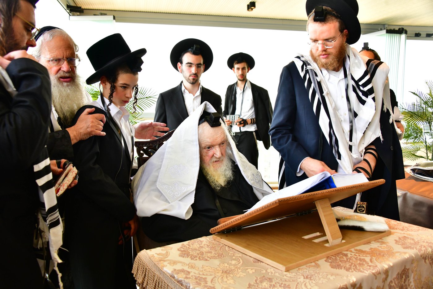 הגאון רבי משה שטרנבוך שליט"א בתפילת שחרית בנתניה | צילום: שוקי לרר