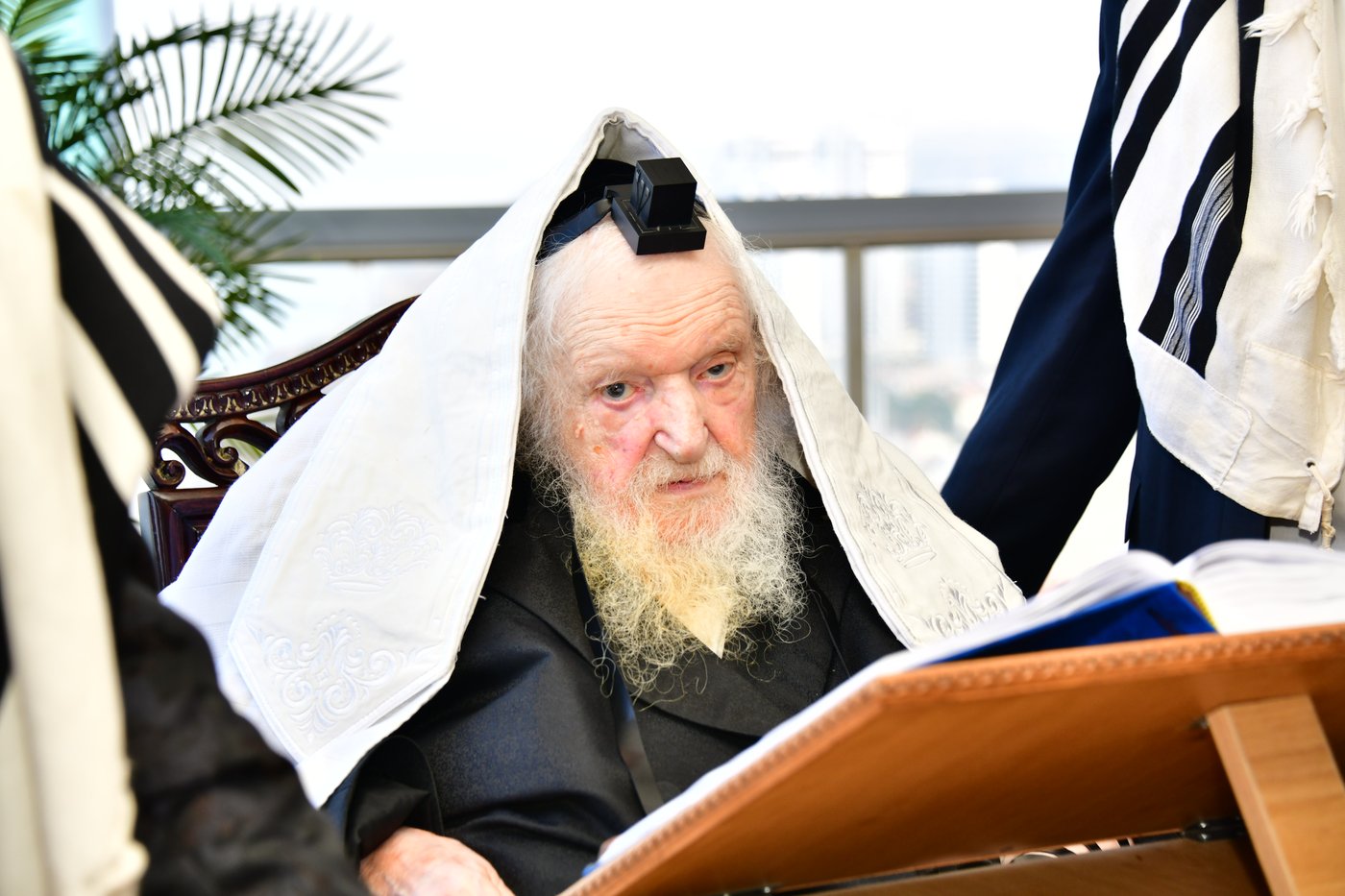 הגאון רבי משה שטרנבוך שליט"א בתפילת שחרית בנתניה | צילום: שוקי לרר