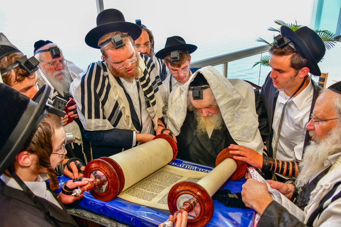 הגאון רבי משה שטרנבוך שליט"א בתפילת שחרית בנתניה | צילום: שוקי לרר