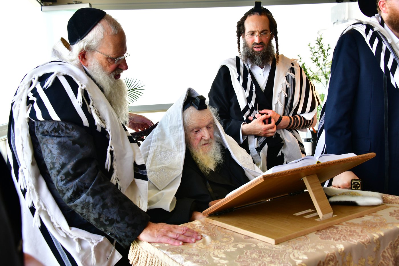 הגאון רבי משה שטרנבוך שליט"א בתפילת שחרית בנתניה | צילום: שוקי לרר