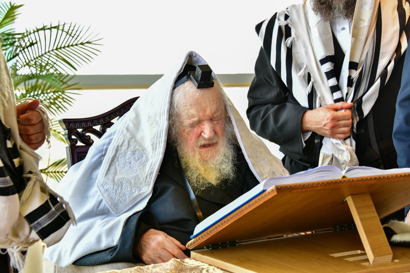 הגאון רבי משה שטרנבוך שליט"א בתפילת שחרית בנתניה | צילום: שוקי לרר