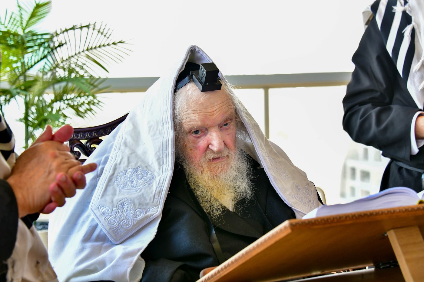 הגאון רבי משה שטרנבוך שליט"א בתפילת שחרית בנתניה | צילום: שוקי לרר