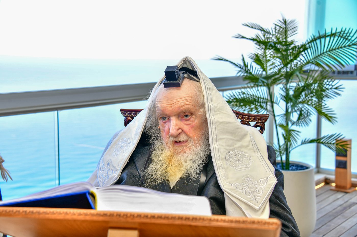 הגאון רבי משה שטרנבוך שליט"א בתפילת שחרית בנתניה | צילום: שוקי לרר