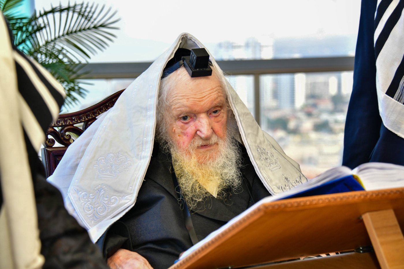 הגאון רבי משה שטרנבוך שליט"א בתפילת שחרית בנתניה | צילום: שוקי לרר