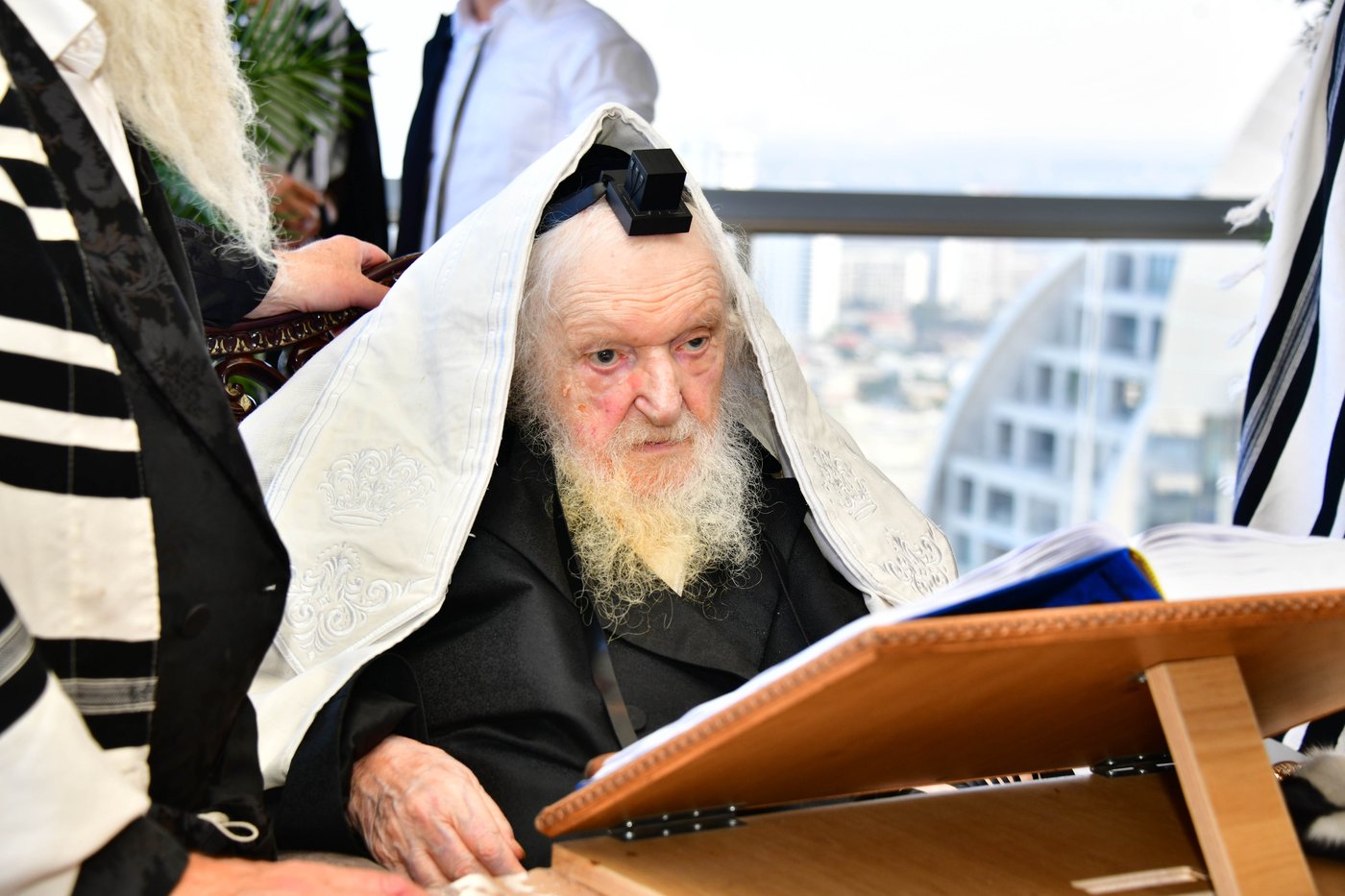 הגאון רבי משה שטרנבוך שליט"א בתפילת שחרית בנתניה | צילום: שוקי לרר