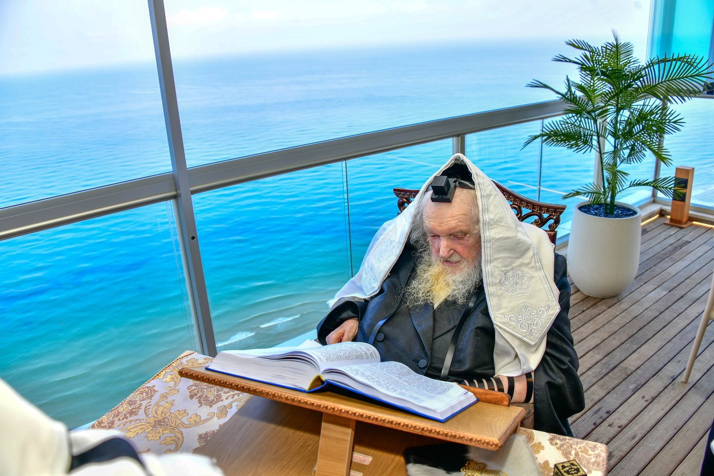 הגאון רבי משה שטרנבוך שליט"א בתפילת שחרית בנתניה | צילום: שוקי לרר