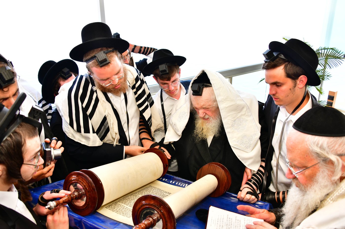 הגאון רבי משה שטרנבוך שליט"א בתפילת שחרית בנתניה | צילום: שוקי לרר