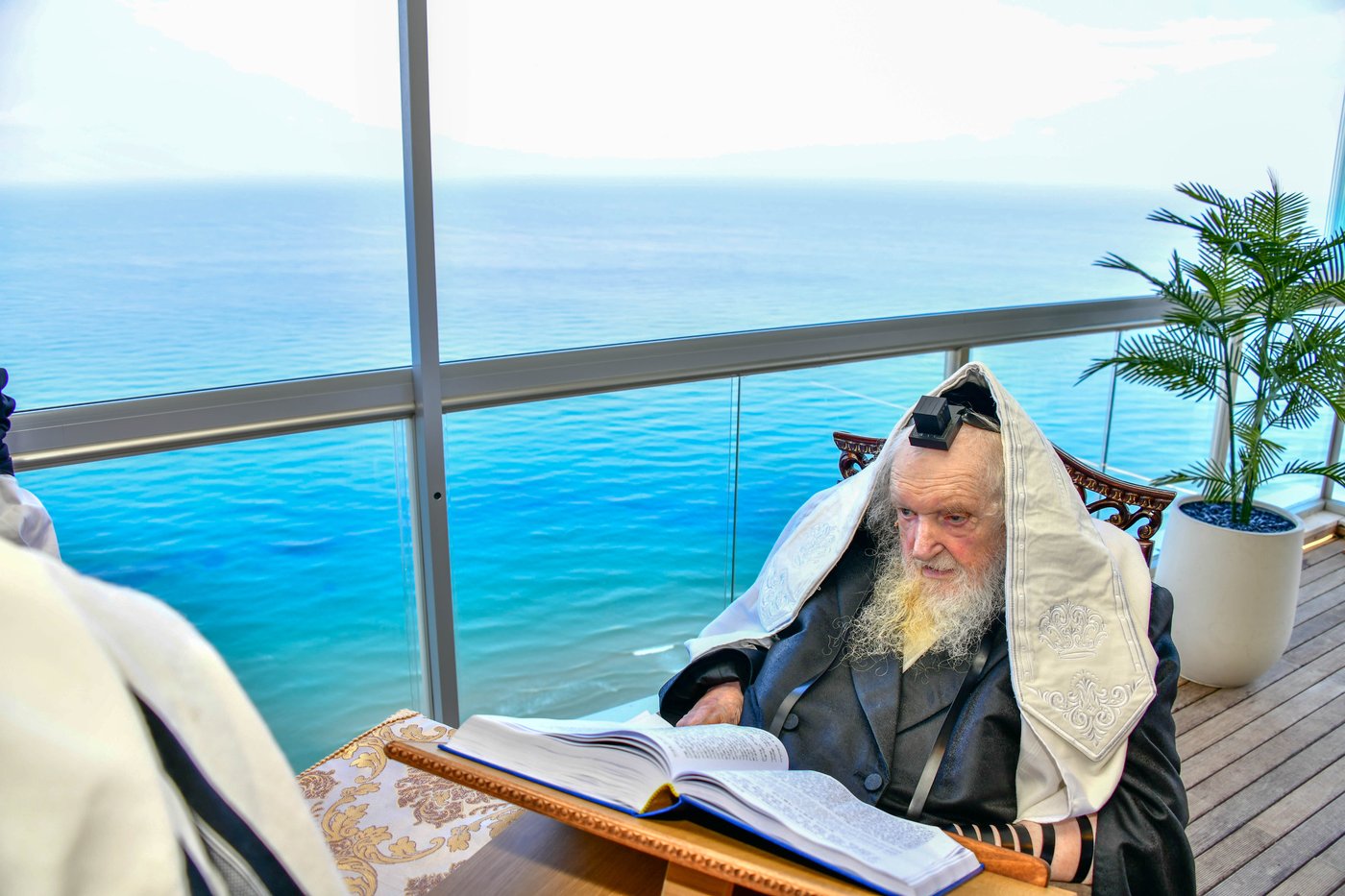 הגאון רבי משה שטרנבוך שליט"א בתפילת שחרית בנתניה | צילום: שוקי לרר