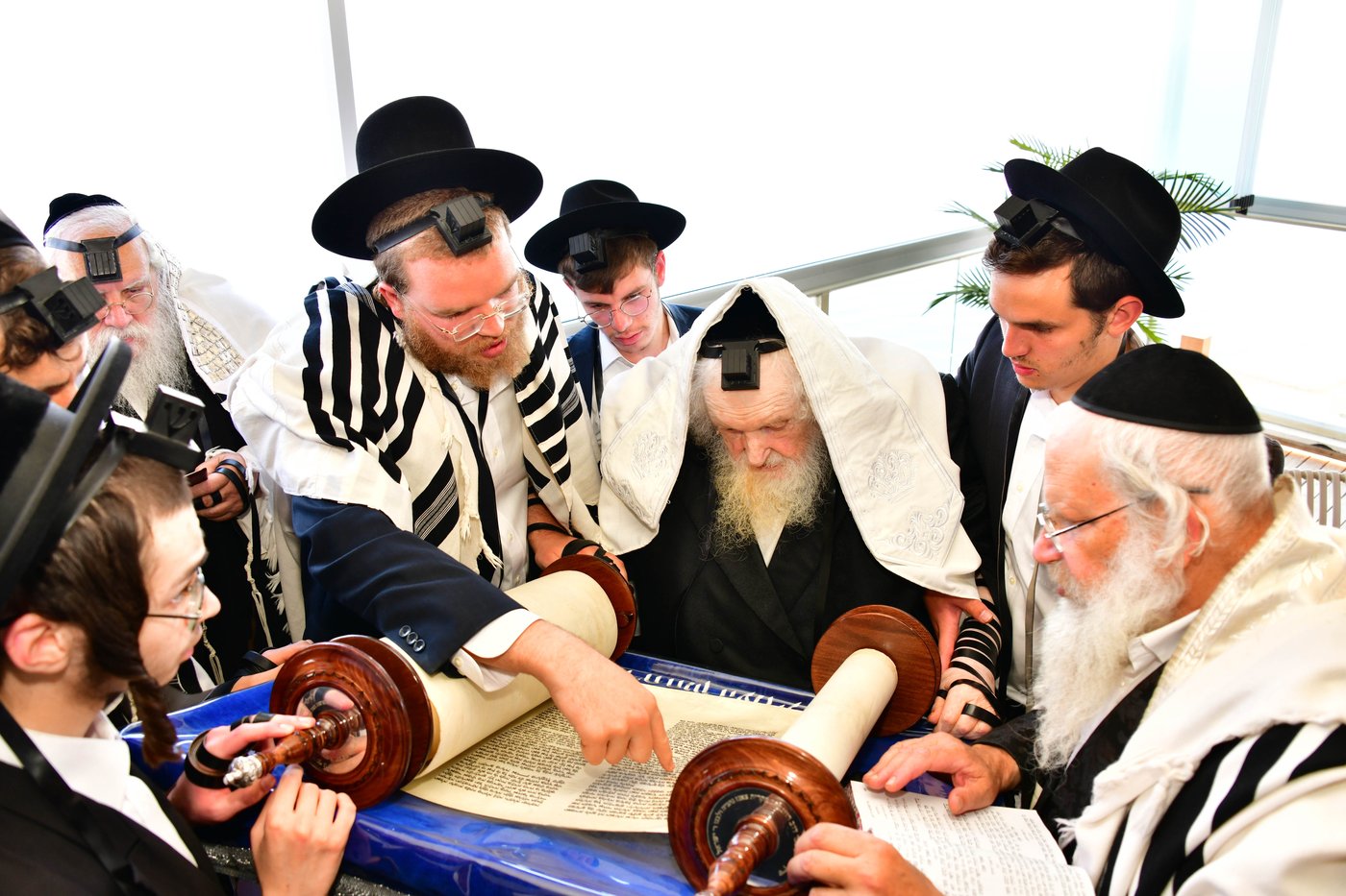 הגאון רבי משה שטרנבוך שליט"א בתפילת שחרית בנתניה | צילום: שוקי לרר