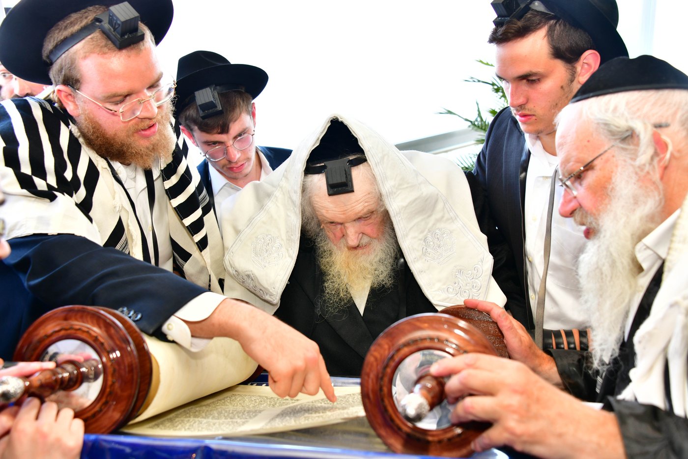 הגאון רבי משה שטרנבוך שליט"א בתפילת שחרית בנתניה | צילום: שוקי לרר