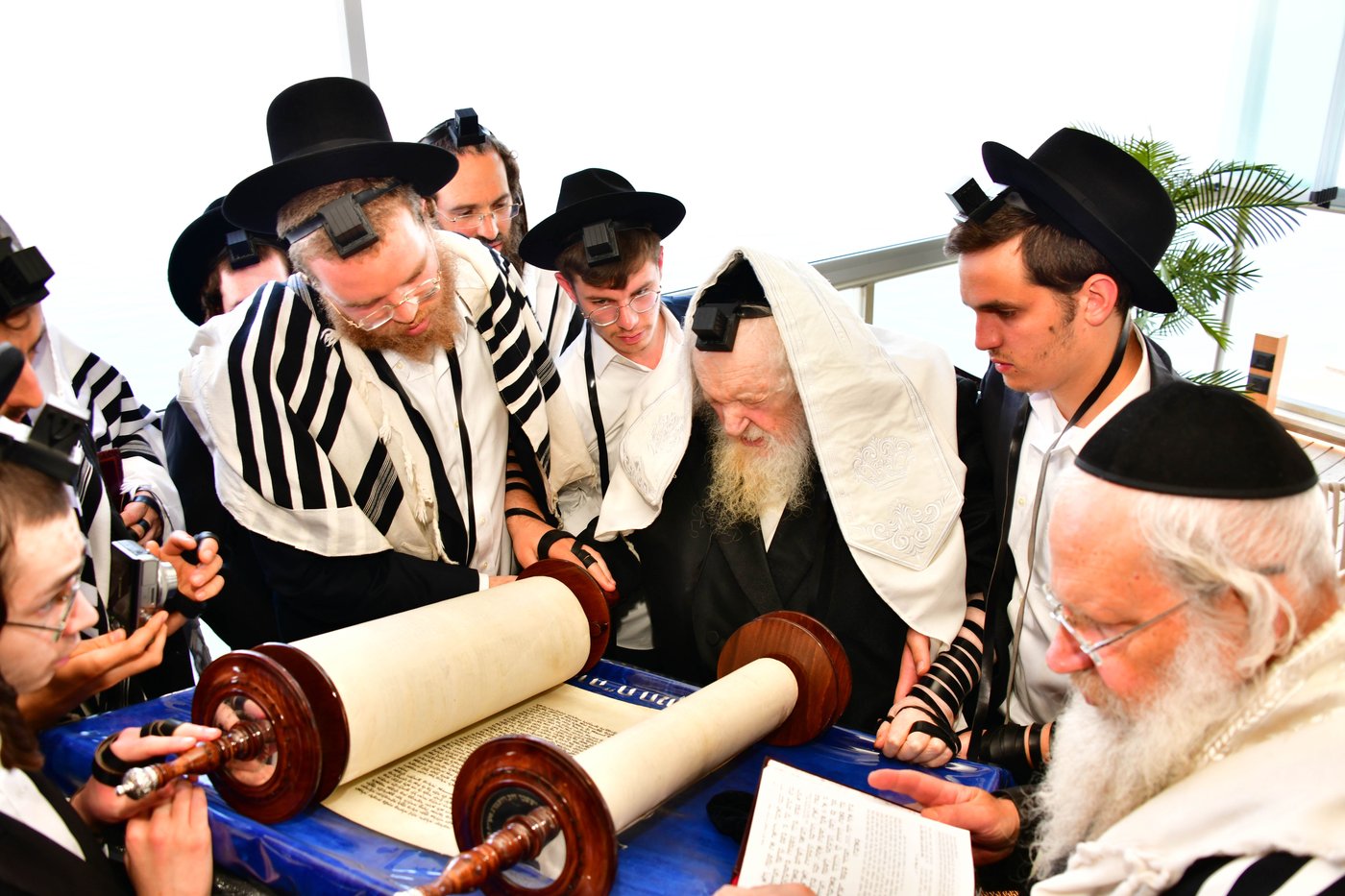 הגאון רבי משה שטרנבוך שליט"א בתפילת שחרית בנתניה | צילום: שוקי לרר