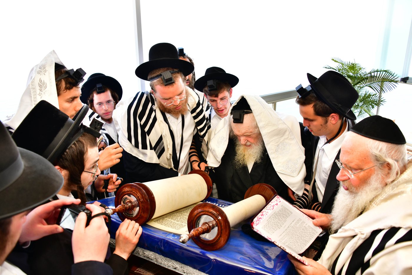 הגאון רבי משה שטרנבוך שליט"א בתפילת שחרית בנתניה | צילום: שוקי לרר