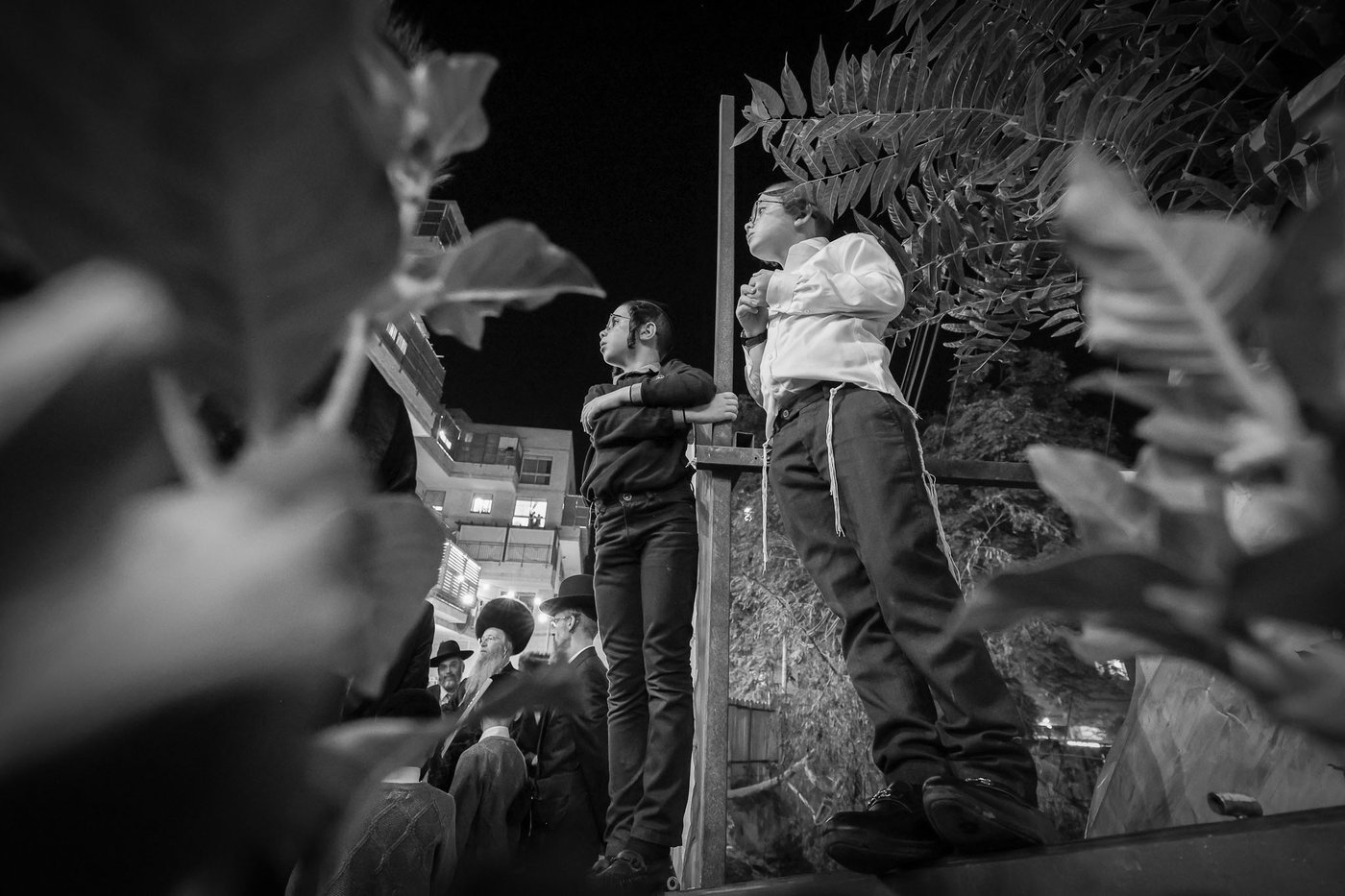 הכנסת ספר תורה אצל הגה"צ רבי נחמן בידרמן | צילום: א. אייזנבאך