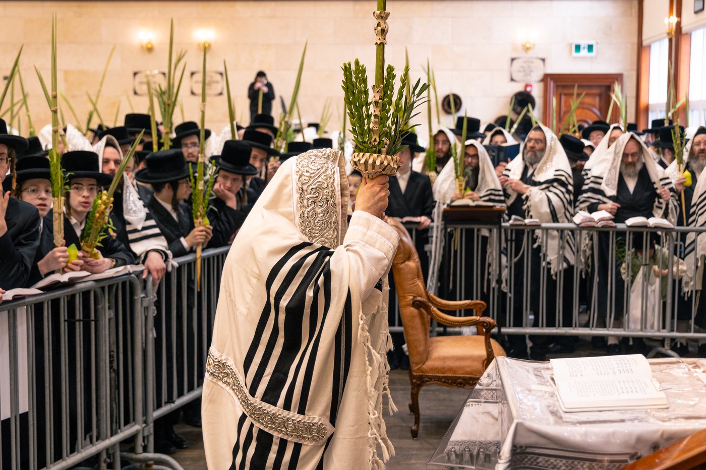 ירח האיתנים בחצר הקודש טאהש | צילום: משה פאנעט