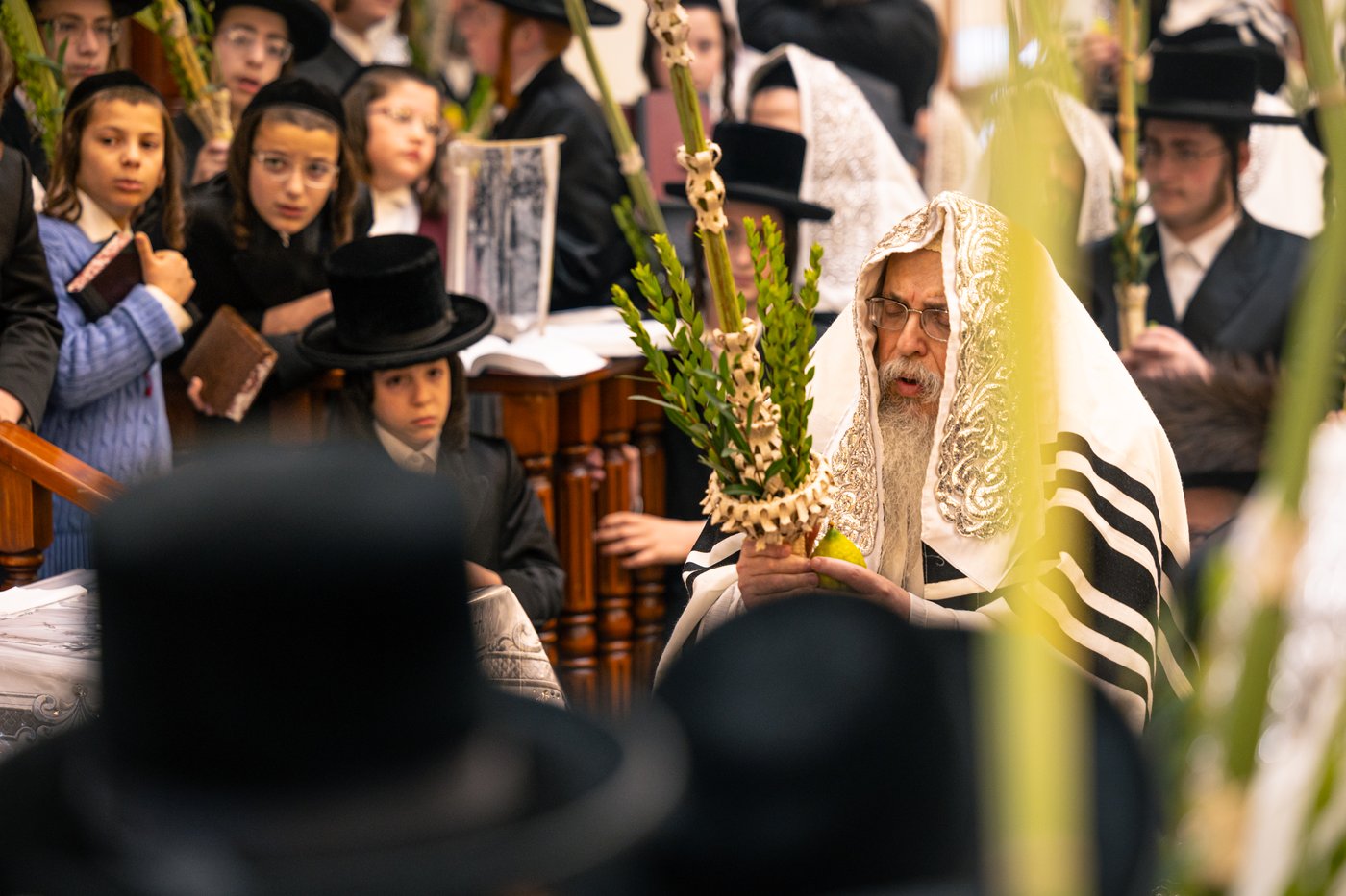 ירח האיתנים בחצר הקודש טאהש | צילום: משה פאנעט